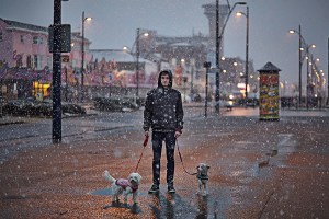 Kane on the seafront in the snow with Gizmo & Luna